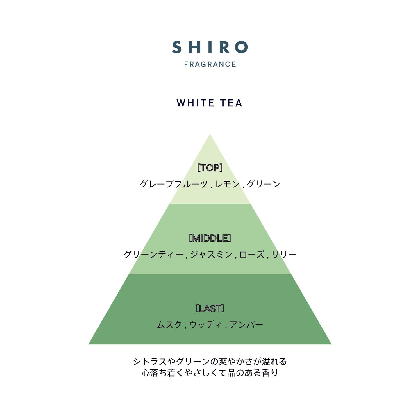 日本SHIRO  white tea白茶香 香薰